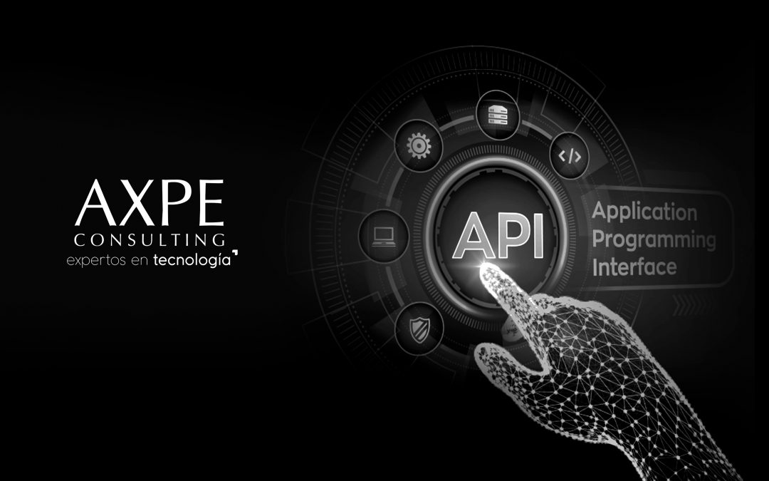 Pautas generales en el modelo de referencia de AXPE para la Metodología API